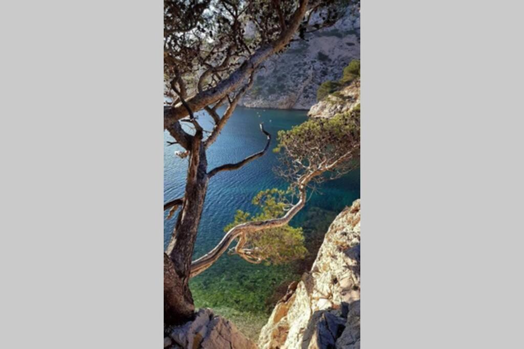 Suite sur la mer Marseille Corniche Extérieur photo